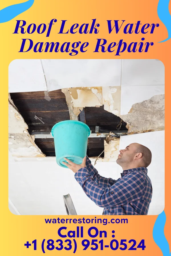 Roof Leak Water Damage Repair in Northwood, ND